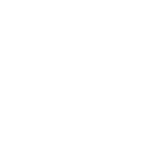 NOC Logo