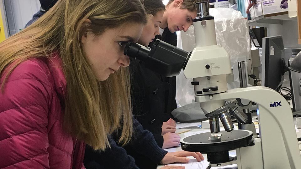 Young adults using microscopes